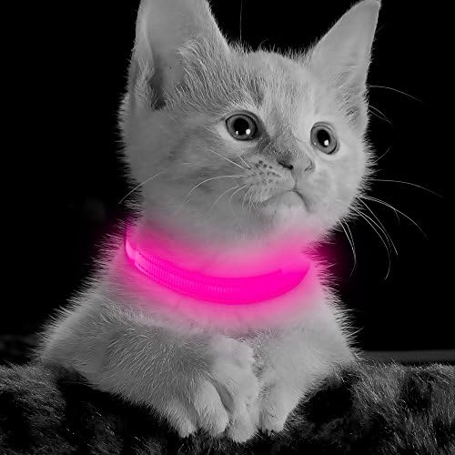 BSEEN Fény Kutya Nyakörvek - Újratölthető LED Izzó Nyakörv Kis Kutya, Macska (Rózsaszín)
