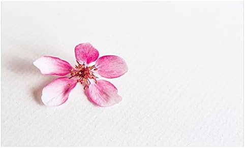 Ambesonne Mandula Virág Kerámia Fogkefe Tartó, Közel fel Virágszirmok Japán Lombozat Idilli Szerelem Témájú Tavaszi Természet,