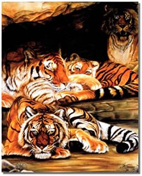 Afrikai Tigris Macska Család a Barlang Állatok Vadon élő állatok Fali Kép 8x10 Art Print (keret nélküli)